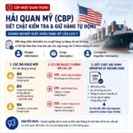 Important CBP Updates for Exporters Shipping to the U.S.